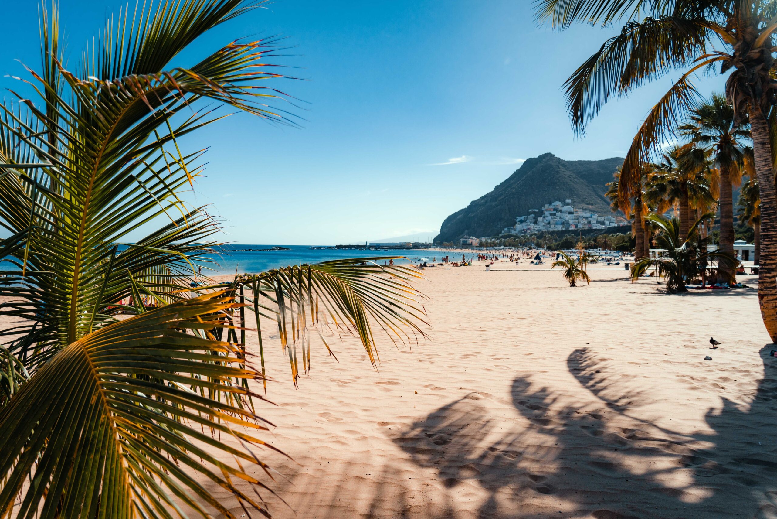 a beach